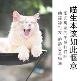 宠物窝悬空式猫床靠窗空中猫床厂家直销猫吊床现货批发一件代发